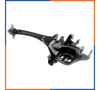 Braccio Sospensione Posteriore Sinistro per FORD | 58068703, ZWT-FR-004, 1071339