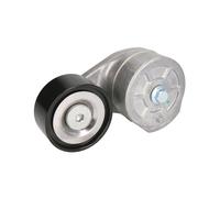 Braccio tenditore, cinghia a V BTA B05-AG-025