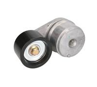 Braccio tenditore, cinghia a V BTA B05-AG-040