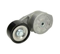 Braccio tenditore, cinghia a V BTA B05-AG-051