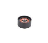 BTA E2M0064BTA Braccio tenditore, Cinghia Poly-V