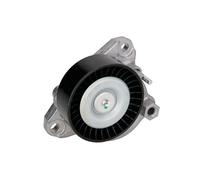 Braccio tenditore, cinghia a V BTA E3M0002BTA