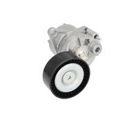 Braccio tenditore, cinghia a V BTA E3M0013BTA