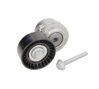 Braccio tenditore, cinghia a V INA 534 0101 20