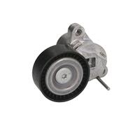 INA 534 0507 10 Braccio tenditore, Cinghia Poly-V