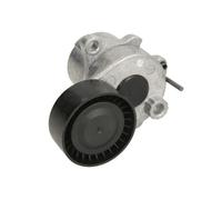 Braccio tenditore, Cinghia Poly-V 534033710