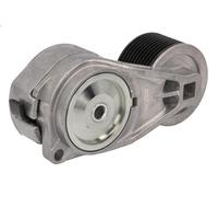 Braccio tenditore, Cinghia Poly-V BTA B05-01-081 per SCANIA T 11.705 2004-2019