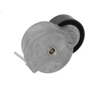 Braccio tenditore, Cinghia Poly-V BTA E3C0025BTA per PEUGEOT RCZ 2 2010-2015