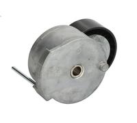 Braccio tenditore, Cinghia Poly-V BTA E3G0021BTA per FORD KUGA I 2 2008-2012