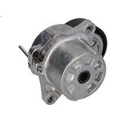 Braccio tenditore, Cinghia Poly-V BTA E3M0005BTA per VIANO (W639) 2.2 2014-