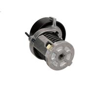Braccio tenditore, Cinghia Poly-V BTA E3R0006BTA per VW POLO (6N2) 1 1999-2001