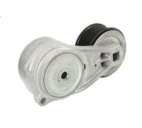 Braccio tenditore, Cinghia Poly-V DAYCO APV1052 per SCANIA T 15.607 2004-2019