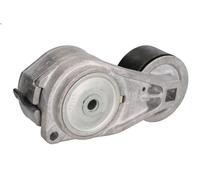 Braccio tenditore, Cinghia Poly-V DAYCO APV1120 per SCANIA T 8.867 2004-2019