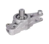 FEBI BILSTEIN 05072 Braccio tenditore, Cinghia Poly-V