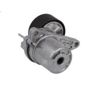 Braccio tenditore, Cinghia Poly-V HERTH+BUSS JAKOPARTS per QASHQAI I 1.6 2011-