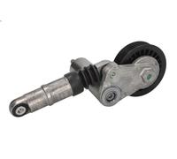 Braccio tenditore, Cinghia Poly-V INA 534 0014 10 per A4 B6 (8E2) 1.9 2001-2004