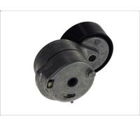 Braccio tenditore, Cinghia Poly-V INA 534 0053 10 per MITO (955_) 1.3 2008-201