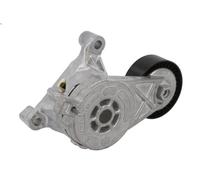 Braccio tenditore, Cinghia Poly-V INA 534 0059 10 per AUDI A3 (8P1) 2 2003-2012