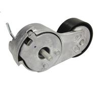 Braccio tenditore, Cinghia Poly-V INA 534 0069 10 per KA (RU8) 1.2 2008-2016