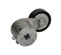 Braccio tenditore, Cinghia Poly-V INA 534 0115 20 per COMBO Tour 1.6 2005-2011