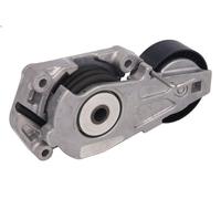 Braccio tenditore, Cinghia Poly-V INA 534 0160 10 per PT CRUISER (PT_) 1.6 2001-