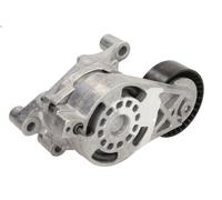 Braccio tenditore, Cinghia Poly-V INA 534 0186 10 per AUDI TT (8J3) 2 2006-201