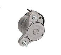 Braccio tenditore, Cinghia Poly-V INA 534 0325 10 per DODGE AVENGER 2 2007-2011