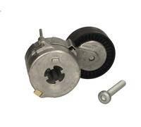 Braccio tenditore, Cinghia Poly-V INA 534 0375 10 per AUDI Q7 (4LB) 3 2010-2015