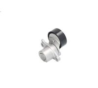 Braccio tenditore, Cinghia Poly-V INA 534 0497 10 per CITIGO (NF1) 1 2011-2019