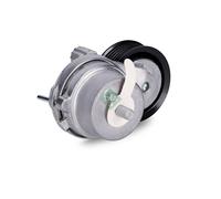 Braccio tenditore, Cinghia Poly-V INA 534 0703 10 per ORLANDO (J309) 2 2011-