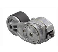 Braccio tenditore, Cinghia Poly-V INA 534 0863 10 per SCANIA T 9.291 2007-2019