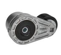 Braccio tenditore, Cinghia Poly-V INA 534 0940 10
