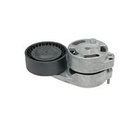 BRACCIO TENDITORE, CINGHIA POLY-V MEYLE PER VW AUDI SEAT SKODA 1009031126