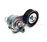 Braccio tenditore, Cinghia Poly-V per CHEVROLET OPEL ANTARA CAPTIVA CRUZE ORLAND