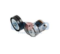 Braccio tenditore, Cinghia Poly-V per SEAT SKODA VW BORA GOLF GOLF VAN LEON OCTA