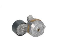 Braccio tenditore, Cinghia Poly-V PETERS 010.667-00A