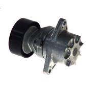 Braccio tenditore, Cinghia Poly-V SKF VKM 38020 per CLK (C209) 2.7 2002-2009