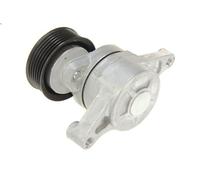 Braccio tenditore, Cinghia Poly-V SKF VKM 64052 per MAZDA 2 (DY) 1.4 2003-2007