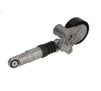 Braccio tenditore, Cinghia Poly-V SWAG 10 92 9770 per FRONTERA A 2.5 1996-