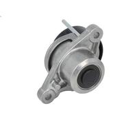 Braccio tenditore, Cinghia Poly-V SWAG 33108569 per DS4 (NX_) 1.6 2014-2015