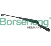 Borsehung B11464 Braccio tergi, Pulizia cristalli