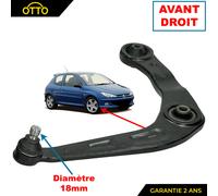 Braccio Sospensione Giunto Sferico 18 MM Anteriore Destro per Peugeot 206 3/5 A