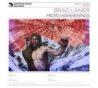 Brad Laner Micro-awakenings (Vinyl LP) 12" Album