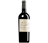Bradisismo Cabernet-Carménère Colli Berici DOC 2019 0,75 l