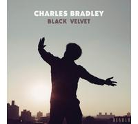 Bradley Charles - Black Velvet