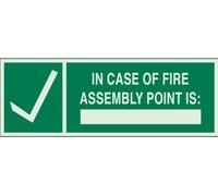 Brady 90930 - Cartello in plastica "Glow-In-The-Dark Exit & Direction", 12,7 x 35,6 cm, Legend "In Case Of Fire Assembly Point Is (con Picto)"