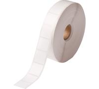 Brady BPT-164-481 / 804784, etichette in carta termica, 22.86 mm x 22.86 mm