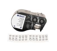 Brady M4-141-499 / 170807, 25.40 mm, Nylon, testo nera / sfondo bianco