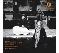 Johannes Brahms – Quartetti d'archi completi e Quintetto per pianoforte – 2 CD