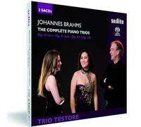 Brahms, J. - Complete Piano Trios (2 CD)